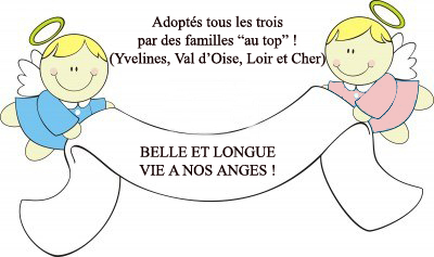 adoptés